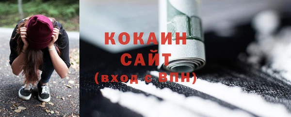 Альфа ПВП Богородицк