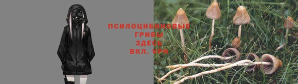 MDMA Premium VHQ Белокуриха